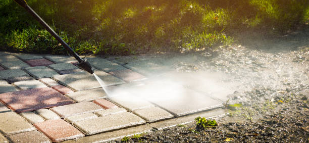 Best Solar Panel Cleaning  in Live Oak, FL